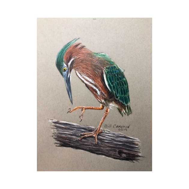 Green Heron by Bill Cameron Fine Art