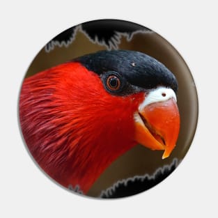 Red Lory Bird Pin