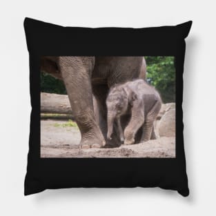 Baby elephant takes his first steps Pillow