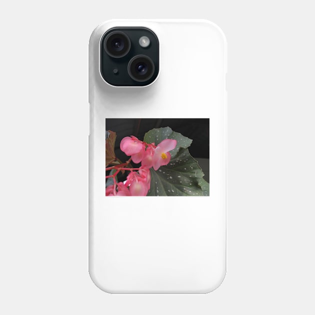 pink flower in the garden Phone Case by likbatonboot