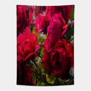 Red roses - Flowers Tapestry