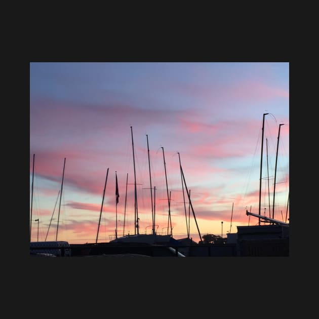 Boat Masts by ephotocard