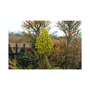 Pencil Plants and Fence Nature Photograph T-Shirt