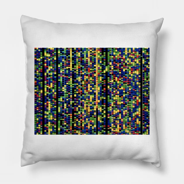 Screen showing a human genetic sequence (G210/0716) Pillow by SciencePhoto