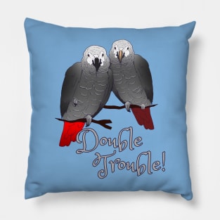 Congo and Timneh African Grey Parrot DoubleTrouble Pillow