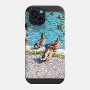 Flock Of Ducks At My Local Pond Phone Case