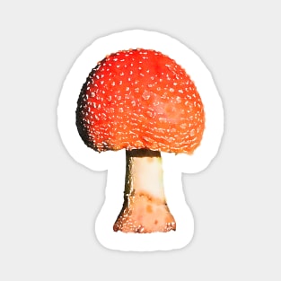 Orange Mushroom Amanita Magnet