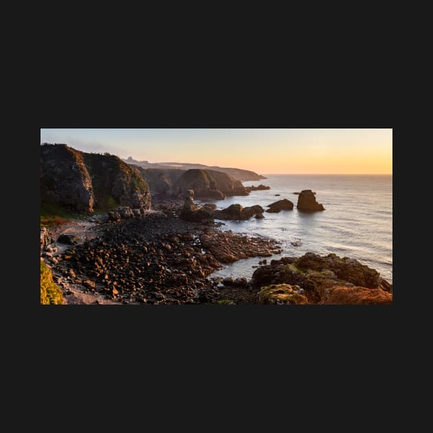 The Old Man Of Muchalls by jldunbar