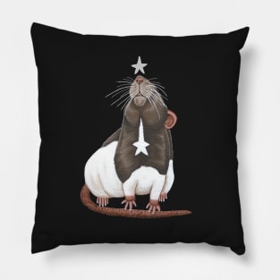 Star Gazing Rat Pillow