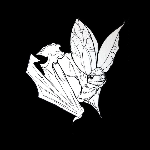 Big Eared Bat by Perryology101