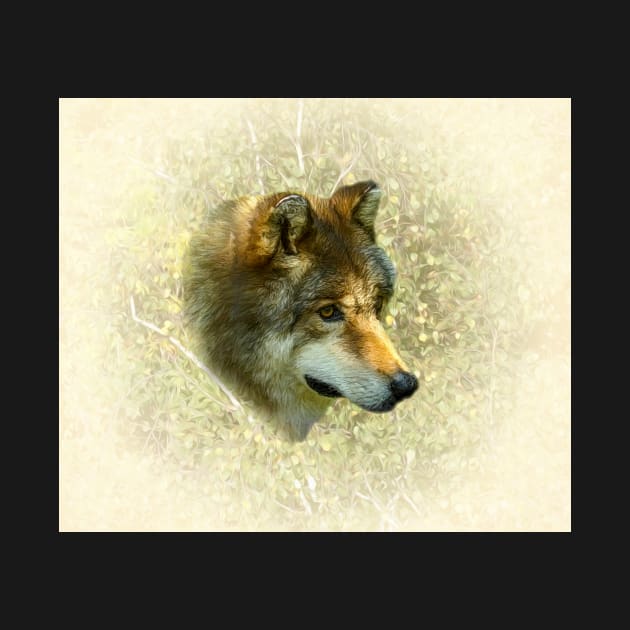 Wolf portrait by Guardi
