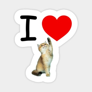 I HEART CARMEL KITTEN Magnet