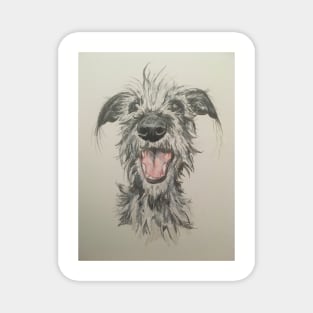 Scruffy Lurcher Magnet