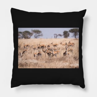 Thomson's Gazelle (Serengeti) #2 Pillow