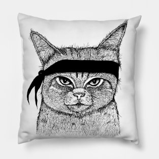 Bandit Cat Pillow