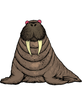 I Am the Walrus Magnet