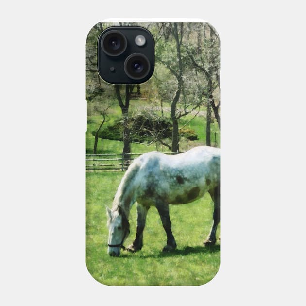 Horses - Appaloosa in Pasture Phone Case by SusanSavad