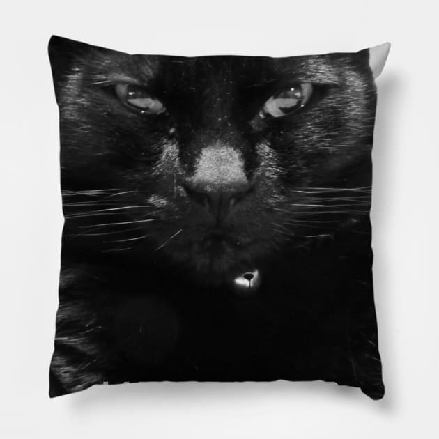 Catitude Pillow by Photography_fan