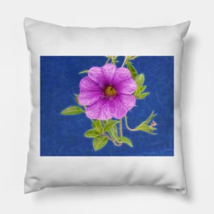 Rabat Morocco for this purple morning glory bloom Pillow