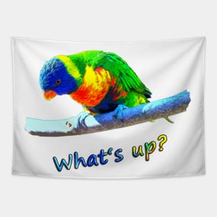 What's up? Tapestry