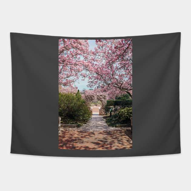 Cherry Blossom 2 Tapestry by igjustin