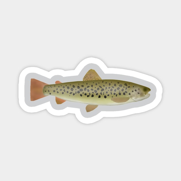 Abant Trout Magnet by FishFolkArt