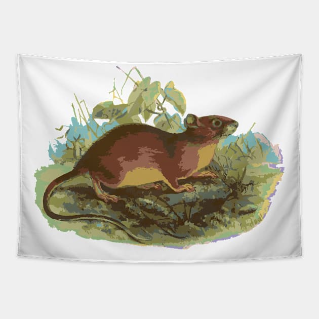 Rodent in the field Tapestry by 3_life