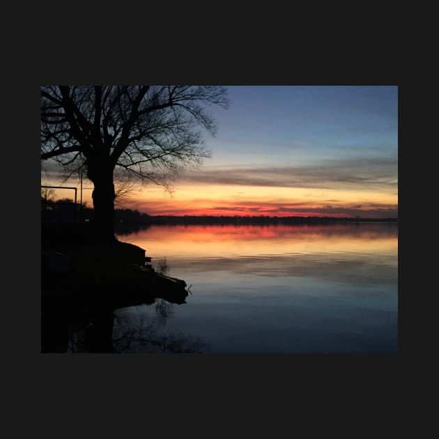 Tree by the Lake at Sunset by aldersmith