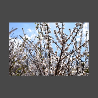 Branches with Tiny Pink Flowers Photograph T-Shirt