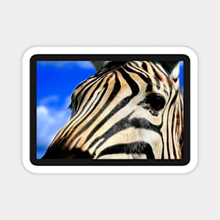 Zebra Profile Macro Magnet