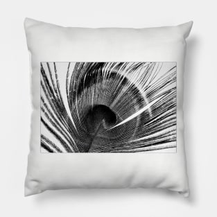Natural Abstract ~ peacock feather Pillow