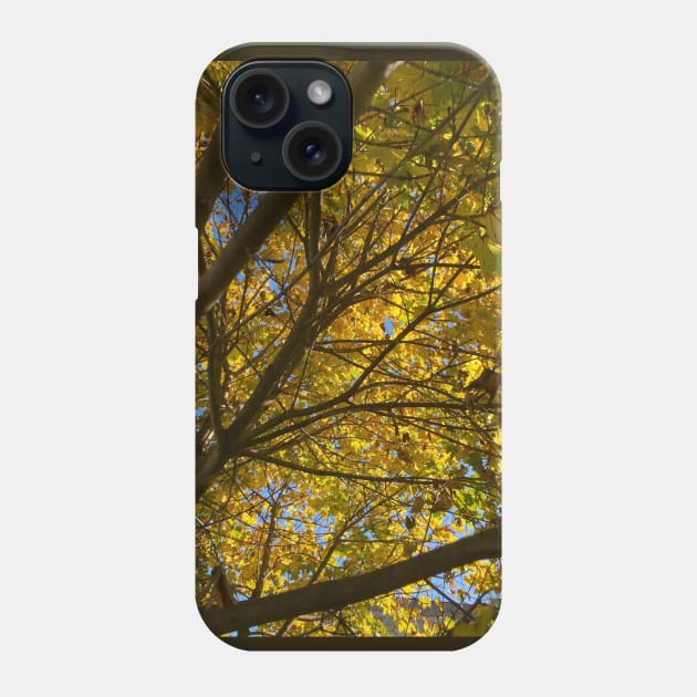 Up a Tree in Autumn Phone Case by Amanda1775