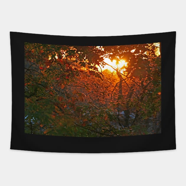 Daybreak Tapestry by EileenMcVey