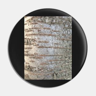 Bark - prunus Pin