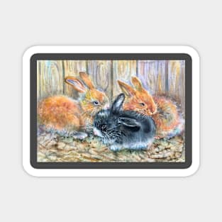 Cute rabbits. Magnet