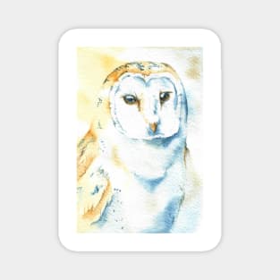 barn owl watercolor portrait bird Magnet