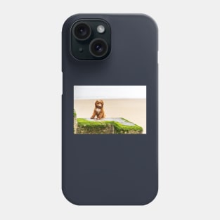 Red Cockapoo Puppy On The Beach Phone Case