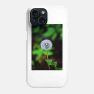 Dandelion Clock Phone Case