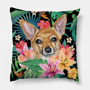 Tropical Short Haired Red White Chihuahua 1 Pillow