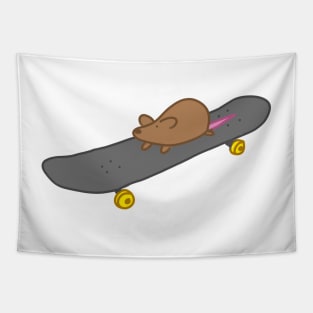 Skateboard Rat Tapestry