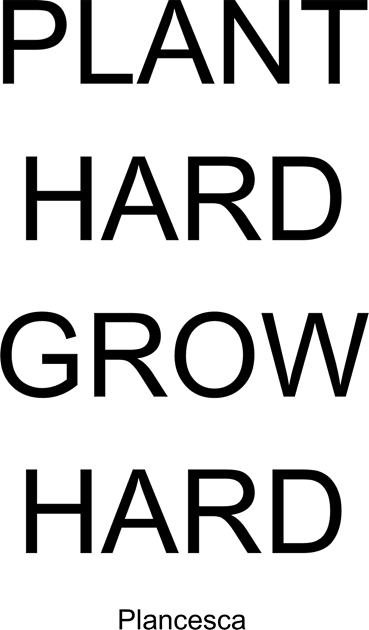 PLANT HARD GROW HARD BK Kids T-Shirt by Plancesca