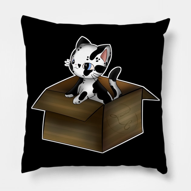 kitty box n 2 Pillow by Drawers of Drawing