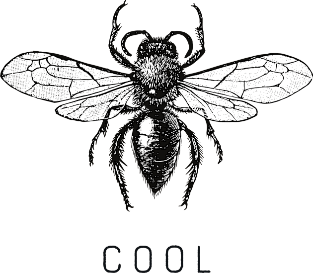 Bee Cool Kids T-Shirt by FITmedia