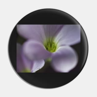 Oxalis Pin