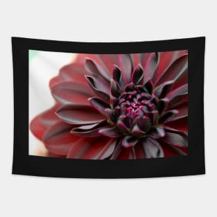 dahlia macro Tapestry