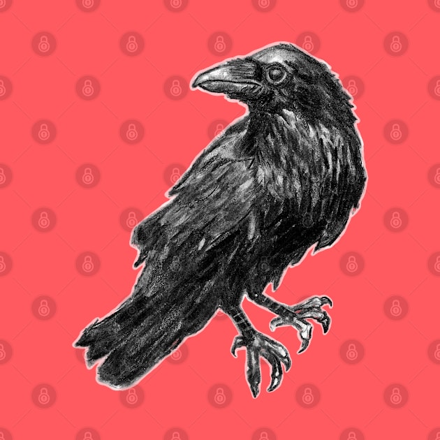 The Raven by seancarolan