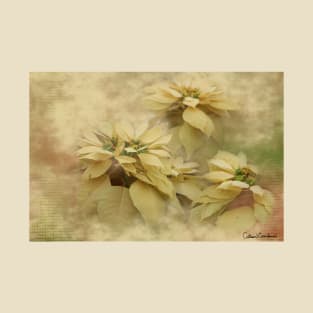 Cream Colored Poinsettias Digital Art T-Shirt