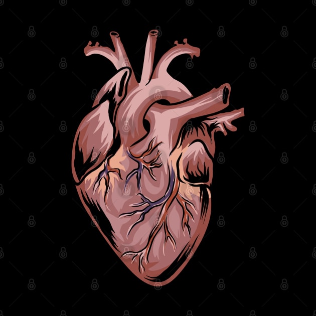 Anatomical Heart - Medical Anatomy Illustration by Shirtbubble