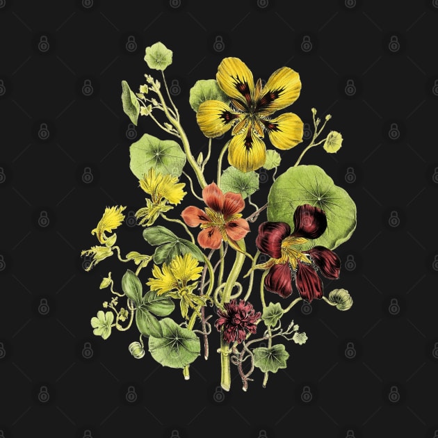 Blooming Nasturtium Flowers Bunch by Biophilia