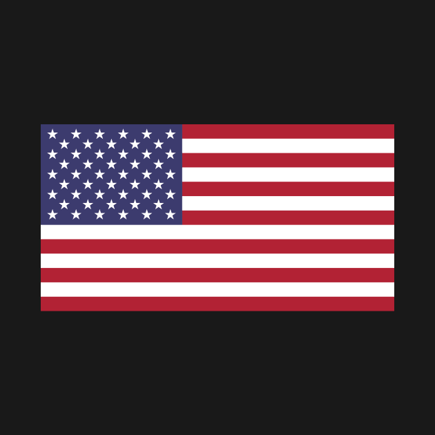 United States Of America Flag by Jennifer